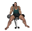 Hammer Curl - Incline Dumbbell Alternate